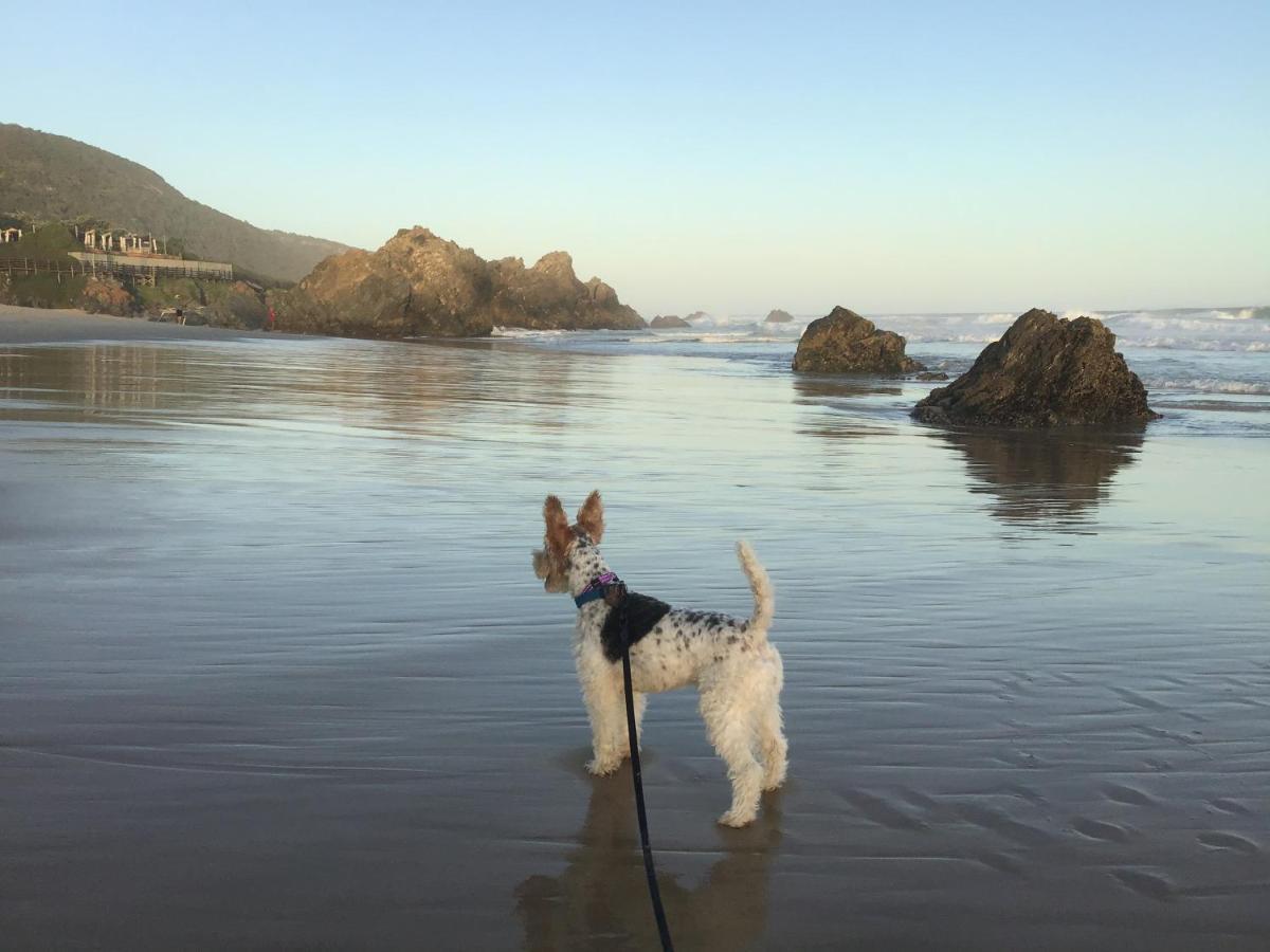 Heatherhill Farmhouse - Sea & Mountain Views Plettenberg Bay Bagian luar foto