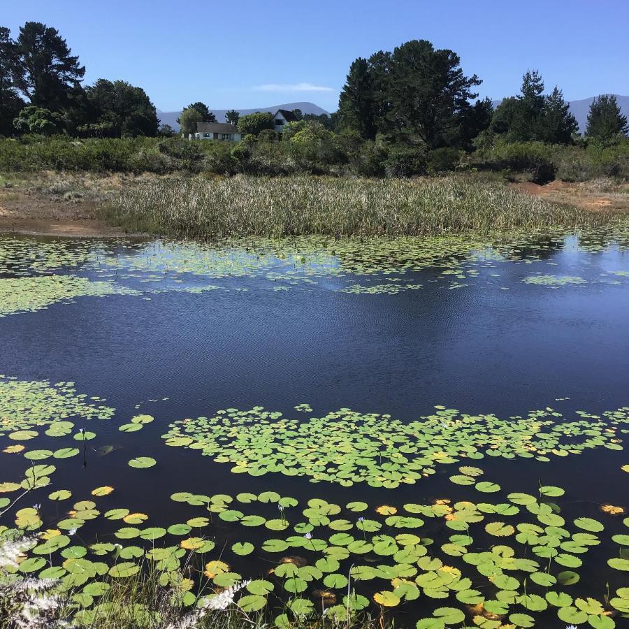 Heatherhill Farmhouse - Sea & Mountain Views Plettenberg Bay Bagian luar foto